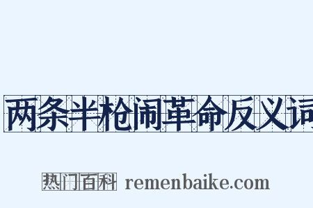 两条半枪闹革命反义词是什么意思的图片
